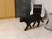 Gina und Benjen