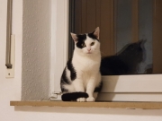 Gina und Benjen